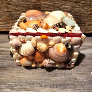 Handmade real seashell Treasure jewelry/keepsake/ potpourri box.